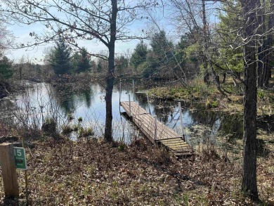 (private lake, pond, creek) Lot For Sale in Wisconsin Rapids Wisconsin