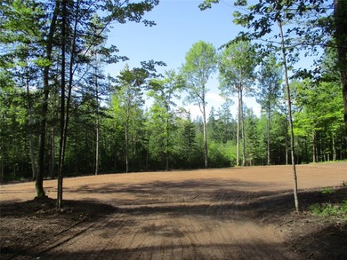 ENJOY THE LOW TAXES WITH ACCESS, NOT FRONTAGE, TO RED CEDAR LAKE - photo 1