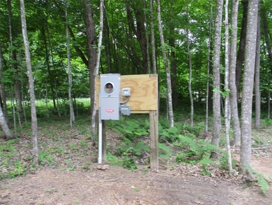 ENJOY THE LOW TAXES WITH ACCESS, NOT FRONTAGE, TO RED CEDAR LAKE - photo 2