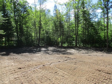 ENJOY THE LOW TAXES WITH ACCESS, NOT FRONTAGE, TO RED CEDAR LAKE - photo 4