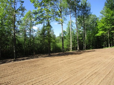 ENJOY THE LOW TAXES WITH ACCESS, NOT FRONTAGE, TO RED CEDAR LAKE - photo 5
