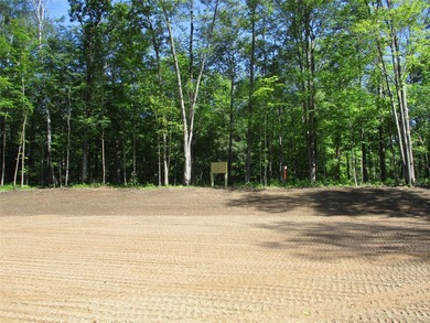 ENJOY THE LOW TAXES WITH ACCESS, NOT FRONTAGE, TO RED CEDAR LAKE - photo 6