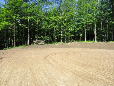 ENJOY THE LOW TAXES WITH ACCESS, NOT FRONTAGE, TO RED CEDAR LAKE - photo 7