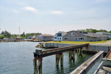 Residential & Commercial Waterfront Opportunity in Manset. An - photo 48