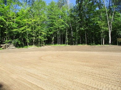 ENJOY THE LOW TAXES WITH ACCESS, NOT FRONTAGE, TO RED CEDAR LAKE - photo 8
