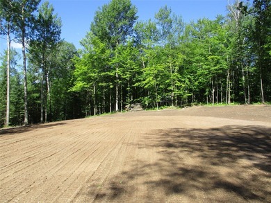 ENJOY THE LOW TAXES WITH ACCESS, NOT FRONTAGE, TO RED CEDAR LAKE - photo 9