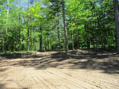 ENJOY THE LOW TAXES WITH ACCESS, NOT FRONTAGE, TO RED CEDAR LAKE - photo 10