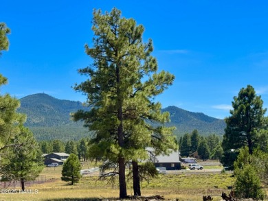 Cataract Lake  Lot For Sale in Williams Arizona