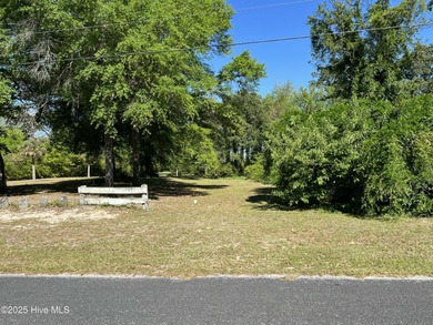 Looking for the perfect spot to build your dream home near the - photo 2