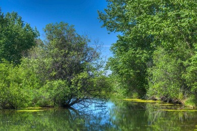 Misty Creek Ranch presents the Creekside lot, 40 acres of - photo 3