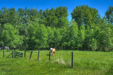 Misty Creek Ranch presents the Creekside lot, 40 acres of - photo 5
