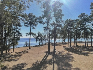Lake Marion Condo For Sale in Manning South Carolina