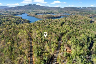 Lake Acreage For Sale in Nebo, North Carolina