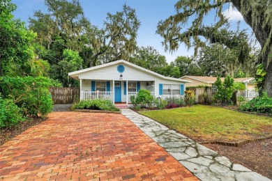 (private lake, pond, creek) Home For Sale in Mount Dora Florida