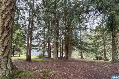 Welcome to Emerald Forest Ranch, a serene retreat tucked within - photo 43
