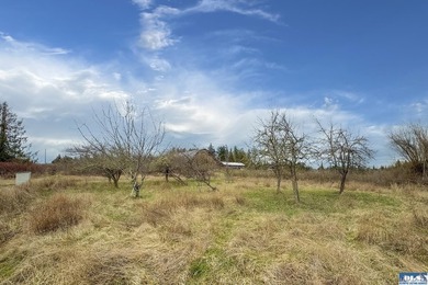 Welcome to Emerald Forest Ranch, a serene retreat tucked within - photo 46
