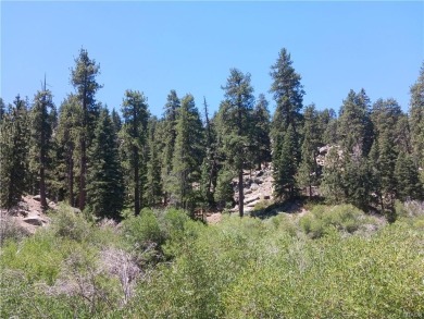 Lake Lot For Sale in Big Bear City, California