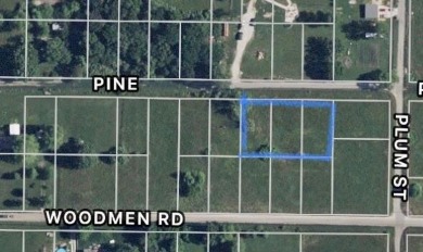 Odessa Reservoir Lot For Sale in Odessa Missouri