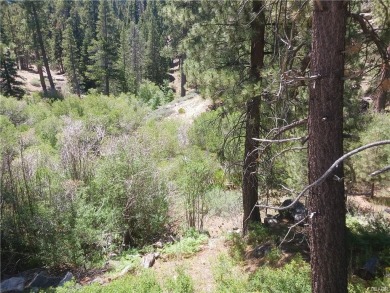 Lake Lot For Sale in Big Bear Lake, California