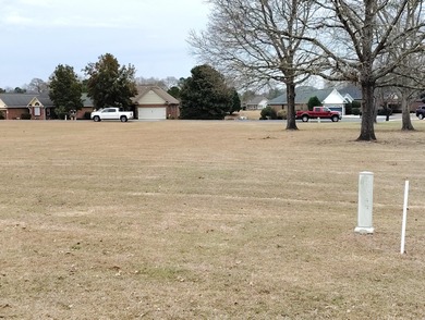 Exceptional Large Patio Home Building Lot on Fairway #14 and