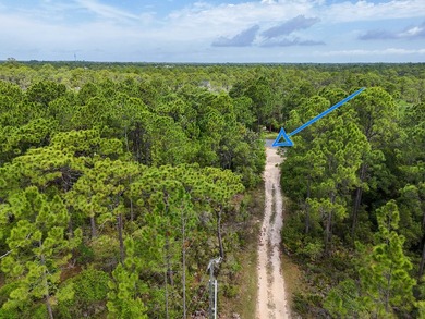 Prime homesite in the desirable Gulf Shore Manor area - photo 8
