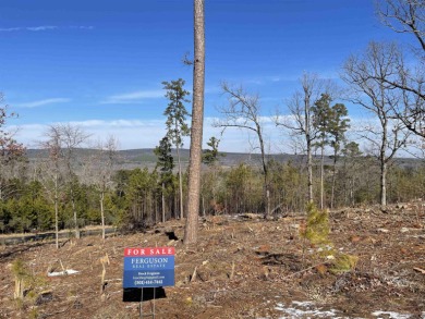 Lake Lot For Sale in Roland, Arkansas