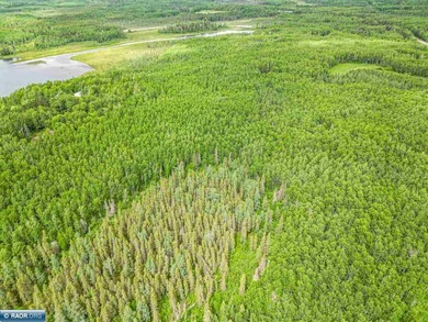 Rolling Iron Range acreage with serious development potential - photo 11