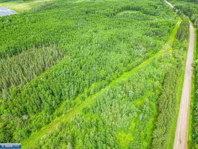 Rolling Iron Range acreage with serious development potential - photo 12