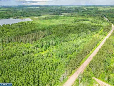 Rolling Iron Range acreage with serious development potential - photo 14