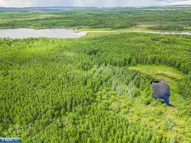 Rolling Iron Range acreage with serious development potential - photo 15