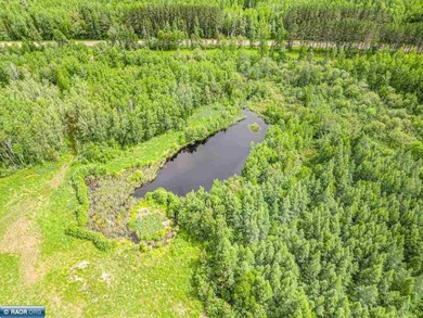 Rolling Iron Range acreage with serious development potential - photo 18