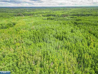 Rolling Iron Range acreage with serious development potential - photo 19