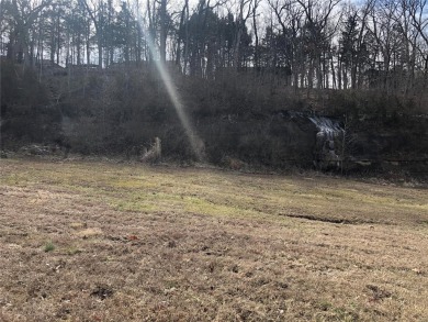 Lake Lot For Sale in Byrnes Mill, Missouri