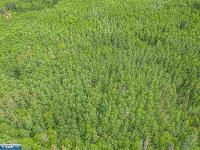 Rolling Iron Range acreage with serious development potential - photo 21