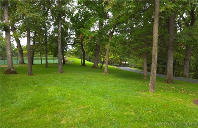 Discover a world of unmatched luxury and privacy at this - photo 33