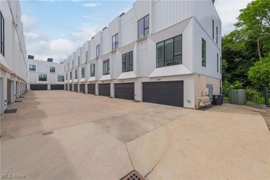 Stunning, impeccably maintained luxury corner townhome in the - photo 37