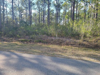 Boiling Spring Lake Lot For Sale in Boiling Spring Lakes North Carolina