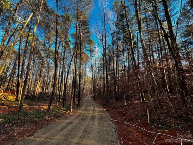 Lake Norman Acreage For Sale in Davidson North Carolina