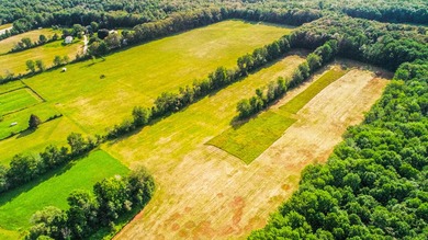 Prime opportunity to build your business or home on 6.7 acres - photo 11