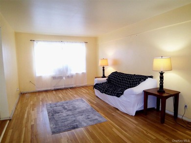 Imagine waking up to sunshine pouring into your living room - photo 13