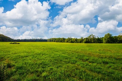 Prime opportunity to build your business or home on 6.7 acres - photo 14