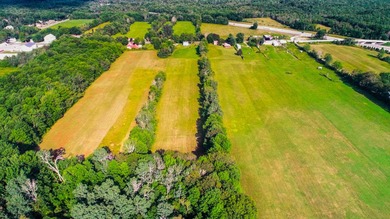 Prime opportunity to build your business or home on 6.7 acres - photo 15