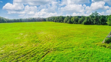 Prime opportunity to build your business or home on 6.7 acres - photo 16