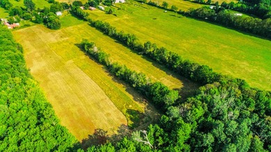 Prime opportunity to build your business or home on 6.7 acres - photo 17