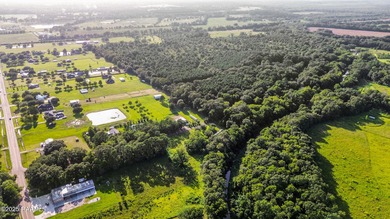 (private lake, pond, coastal) Acreage For Sale in Arnaudville Louisiana
