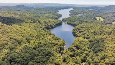Lake Acreage For Sale in Lake Toxaway, North Carolina