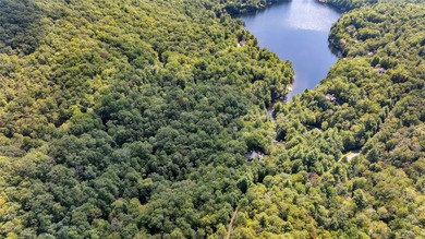Spectacular, 48.91 +/- parcel in Lake Toxaway Estates adjoining - photo 4