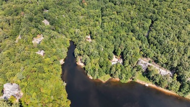 Spectacular, 48.91 +/- parcel in Lake Toxaway Estates adjoining - photo 6