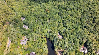 Spectacular, 48.91 +/- parcel in Lake Toxaway Estates adjoining - photo 7