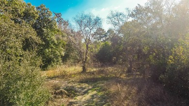 Come check out this 0.25 acre lot located near Panama City - photo 1